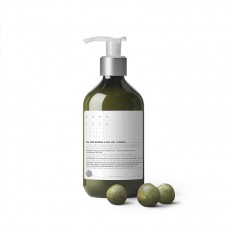 ROHASEED  - 茶籽調理及防脫洗髪露 ( 500ml )